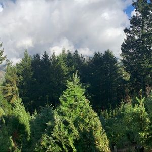 Meet your Posher, Audrey